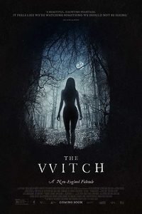 Download The Witch (2015) Dual Audio {Hindi-English} BluRay 480p [300MB] || 720p [750MB]