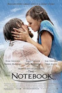 Download The Notebook (2004) Dual Audio (Hindi-English) 720p [950MB]