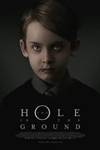 Download The Hole in the Ground (2019) {Hindi-English} Bluray 480p [250MB] || 720p [700MB] || 1080p [1.7GB]