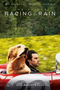 Download The Art of Racing in the Rain (2019) {English With Subtitles} 480p [400MB] || 720p [900MB]