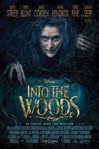 Download Into the Woods (2014) {English With Subtitles} BluRay 480p [450MB] || 720p [950MB]