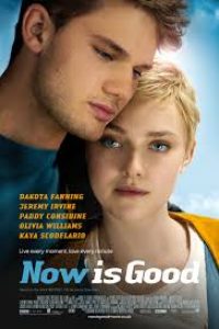 Download Now Is Good (2012) {English With Subtitles} 480p [400MB] || 720p [800MB]