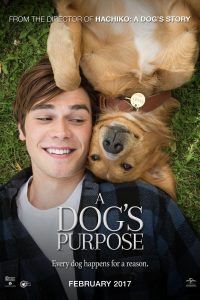 Download A Dog’s Purpose (2017) {English With Subtitles} BluRay 480p [450MB] || 720p [850MB]