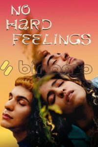 Download No Hard Feelings (2020)  [Unofficial Dubbed] (Hindi-English) 720p [690MB]