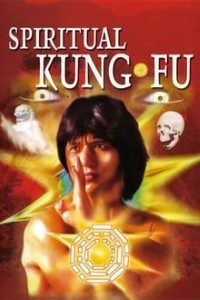 Download Spiritual Kung Fu (1978) Dual Audio Hindi BluRay {English With Subtitles} 720p [900MB]