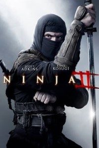 Download Ninja – Shadow of a Tear (2013) BluRay {English With Subtitles} 480p [400MB] || 720p [850MB]