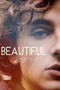 Download Beautiful Boy (2018) {English With Subtitles} 480p [450MB] || 720p [950MB]