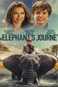 Download An Elephant’s Journey (2017) Dual Audio (Hindi-English) 480p [250MB] || 720p [800MB]￼