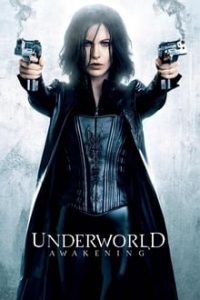 Download Underworld Awakening (2012) Dual Audio {Hindi-English} 480p [400MB] || 720p [1GB]