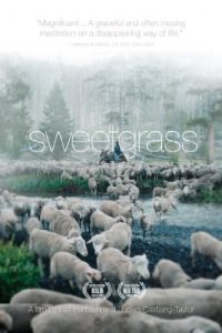 Download Sweetgrass (2009) {English With Subtitles} 480p [300MB] || 720p [650MB]