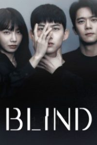 Download Kdrama Blind (Season 1) [S01E04 Added] {Korean With English Subtitles} WeB-HD 720p [250MB]