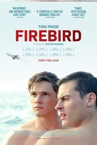 Download Firebird (2021) {English With Subtitles} 480p [400MB] || 720p [999MB] || 1080p [2.3GB]