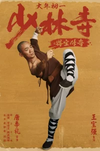 Download Rising Shaolin: The Protector (2021) Dual Audio {Hindi-Chinese} WEB-DL 480p [320MB] || 720p [1GB]