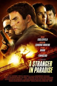 Download A Stranger in Paradise 2013 Dual Audio Hindi ORG 480p [300MB] | 720p [1.1GB]