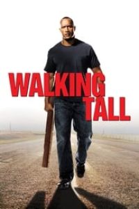Download Walking Tall (2004) Dual Audio (Hindi-English) 480p [250MB] || 720p [700MB] || 1080p [1.47GB]