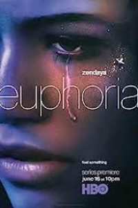 Download 18+ Euphoria (2019-2022) (Season 1-2) {English with Subtitles} WeB-DL 720p 10Bit [250MB] || 1080p 10Bit [800MB]