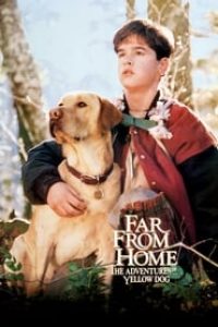 Download Far from Home: The Adventures of Yellow Dog (1995) (English with Subtitle) Bluray 480p [250MB] || 720p [670MB] || 1080p [1.5GB]