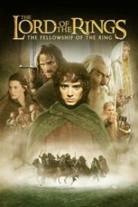 Download The Lord of the Rings: The Fellowship of the Ring (2001) {Hindi-English} 480p [600MB] || 720p [1.9GB] || 1080p [3.9GB]