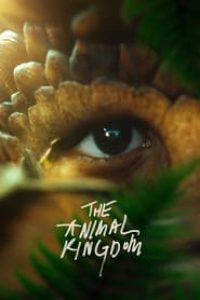 Download The Animal Kingdom (2023) {French With English Subtitles} BluRay 480p [380MB] || 720p [1GB] || 1080p [2.5GB]