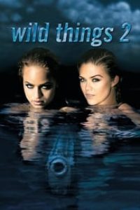 Download Wild Things 2 (2004) Dual Audio (Hindi-English) 480p [330MB] || 720p [750MB] || 1080p [1.91GB]