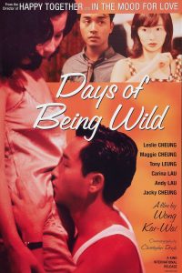 Download Days of Being Wild (1990) (Chinese Audio) Esub Bluray 480p [290MB] || 720p [710MB] || 1080p [1.7GB]
