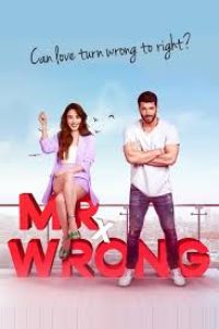 Download Mr. Wrong Season 1 (Hindi Audio) Web-Dl 720p [280MB] || 1080p [800MB]