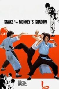 Download Snake in the Monkey’s Shadow (1979) Dual Audio (Hindi-English) Bluray 480p [285MB] || 720p [785MB] || 1080p [1.60GB]
