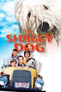 Download The Shaggy Dog (1959) {English With Subtitles} 480p [300MB] || 720p [999MB] || 1080p [2GB]