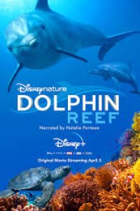 Download Dolphin Reef (2018) {English With Subtitles} 480p [300MB] || 720p [800MB] || 1080p [1.8GB]